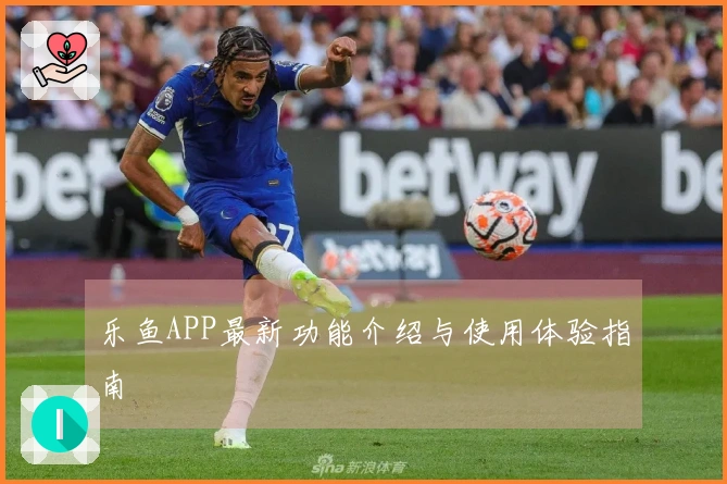 乐鱼APP最新功能介绍与使用体验指南