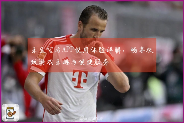乐鱼官方APP使用体验详解，畅享极致游戏乐趣与便捷服务