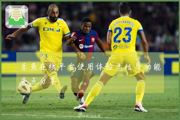 乐鱼在线平台使用体验总结与功能亮点分享